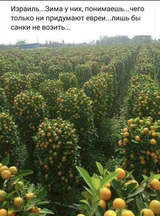 ���������! ���� � ������� ��� ���������� (35 ����)