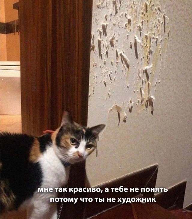 ���������! ���� � ������� ��� ���������� (35 ����)