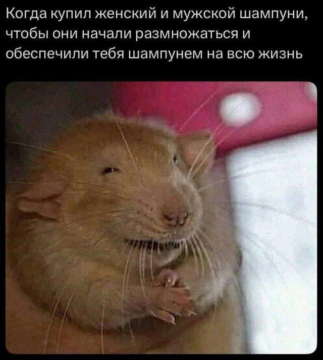 ���������! ���� � ������� ��� ���������� (35 ����)