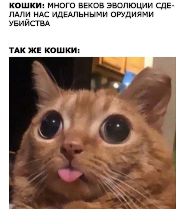 �������� ����� � �������� ��� ���������� (25 ����)