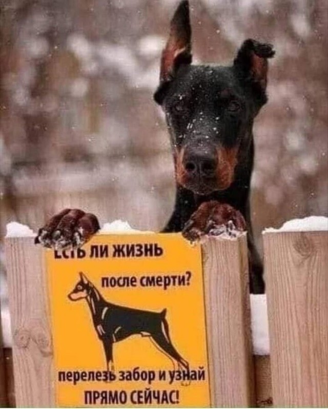 �������� ����� � �������� ��� ���������� (25 ����)