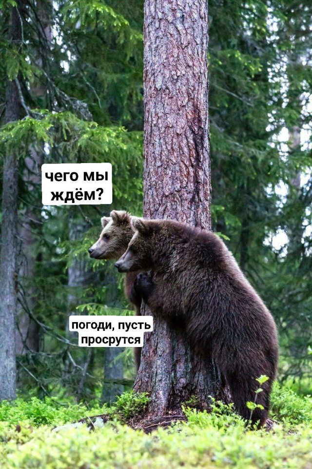 �������� ����� � �������� ��� ���������� (25 ����)