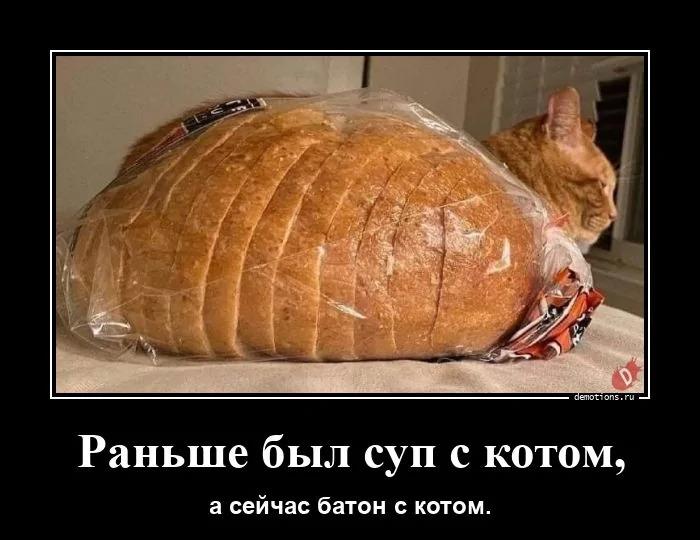 ������������ ������������ (16 ����)