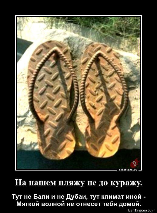 ������������ ������������ (16 ����)