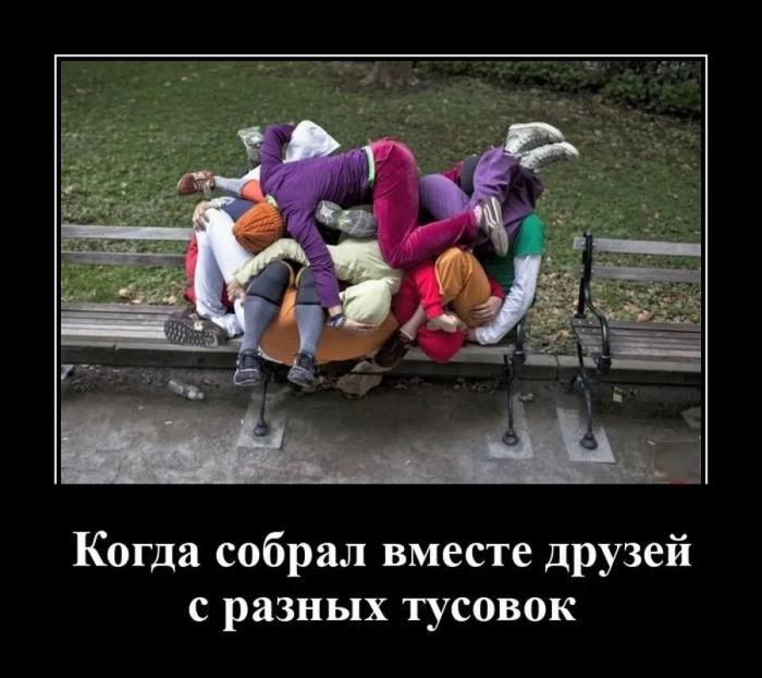 ������������ ������������ (16 ����)