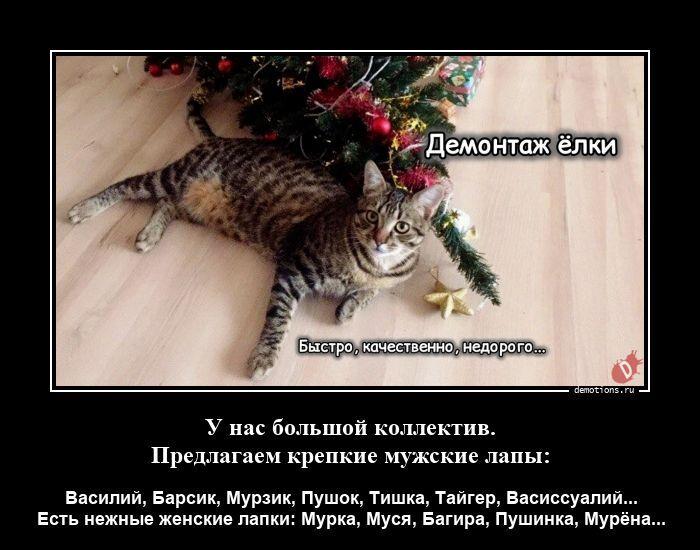 ������������ ������������ (16 ����)