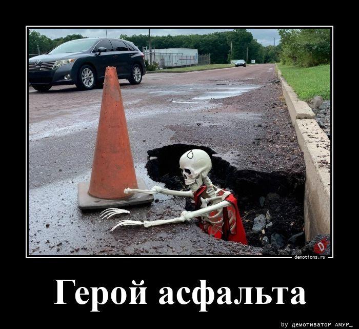 ������������ ������������ (16 ����)