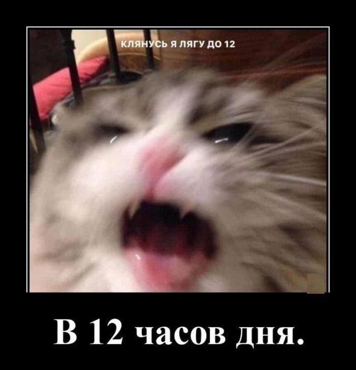 ������������ ������������ (16 ����)