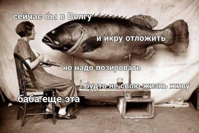 ������� �������� ��� ���������� (25 ����)