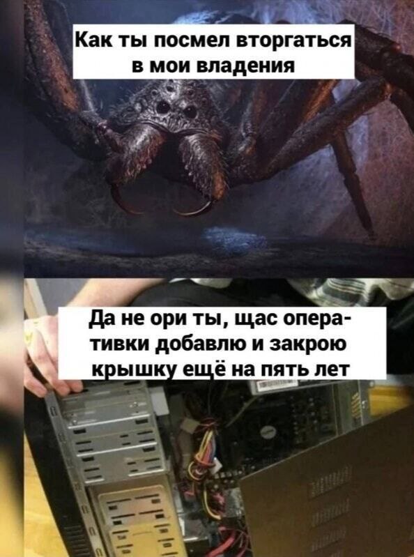 ������ ���� ��� ��������� ���������� (20 ����)