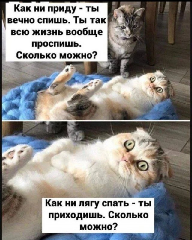 ������ ���� ��� ��������� ���������� (20 ����)