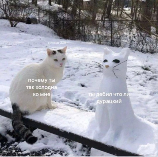 ������ ���� ��� ��������� ���������� (20 ����)