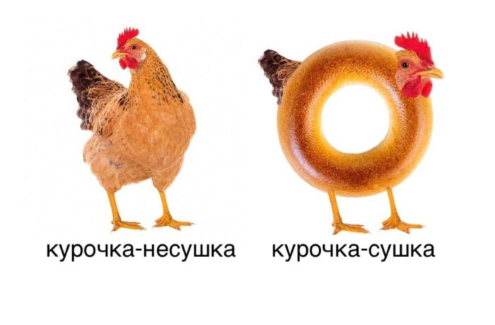 ������ ���� ��� ��������� ���������� (20 ����)