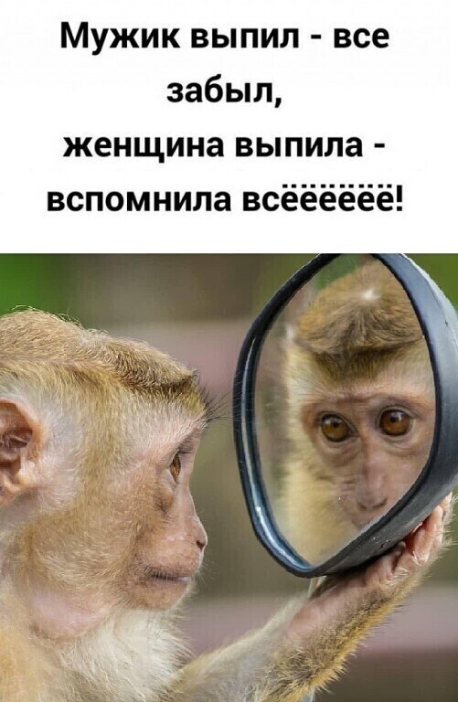 ���� � ������� �� ���� (18 ����)