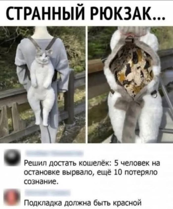 ���� � ������� �� ���� (18 ����)