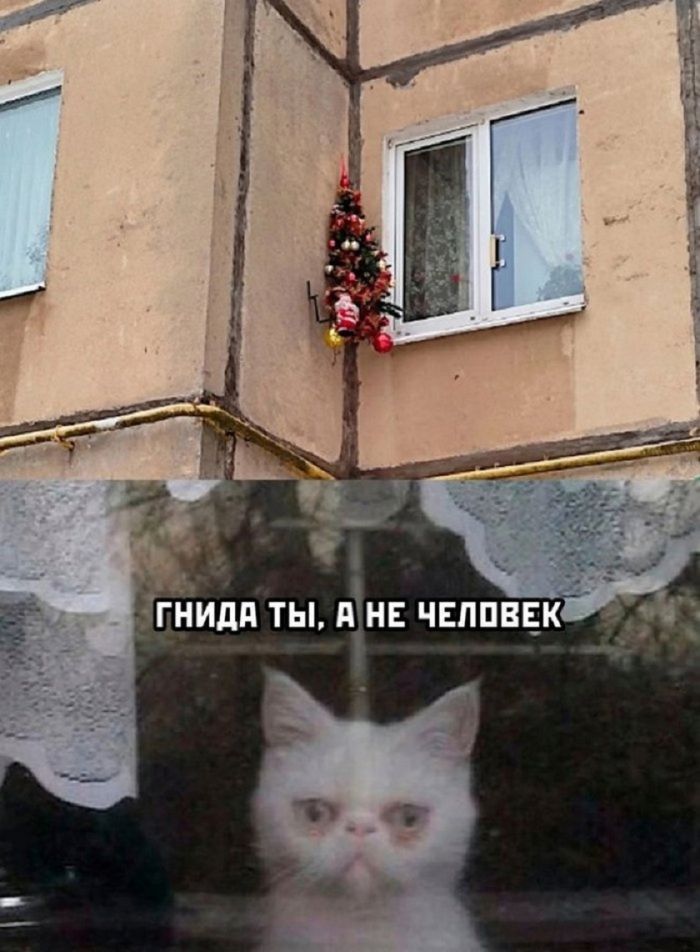 ���� � ������� �� ���� (18 ����)