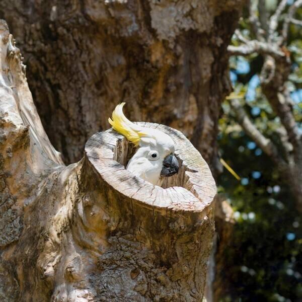 ���� � ������� ��� ���������� (30 ����)