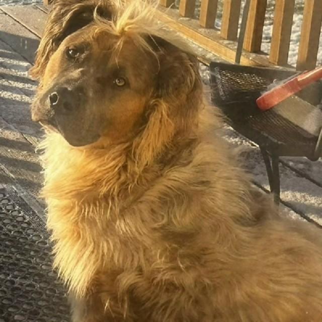 ���� � ������� ��� ���������� (30 ����)