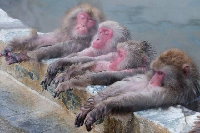 ���� � ������� ��� ���������� (30 ����)