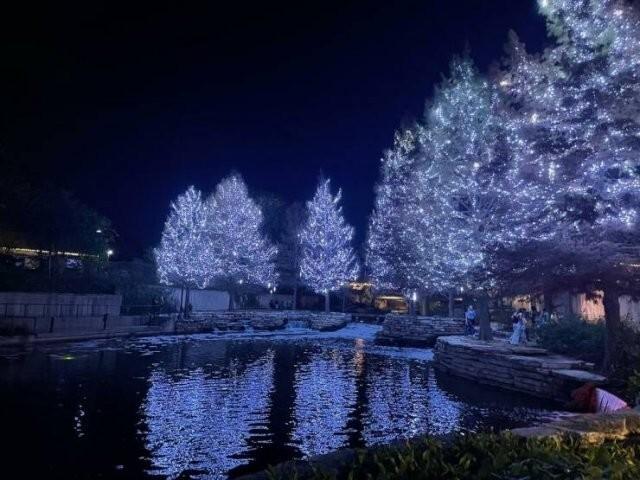 ���� � ������� ��� ���������� (30 ����)