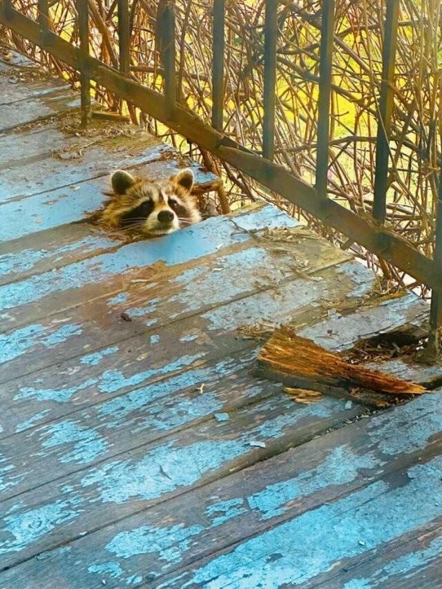 ���� � ������� ��� ���������� (30 ����)