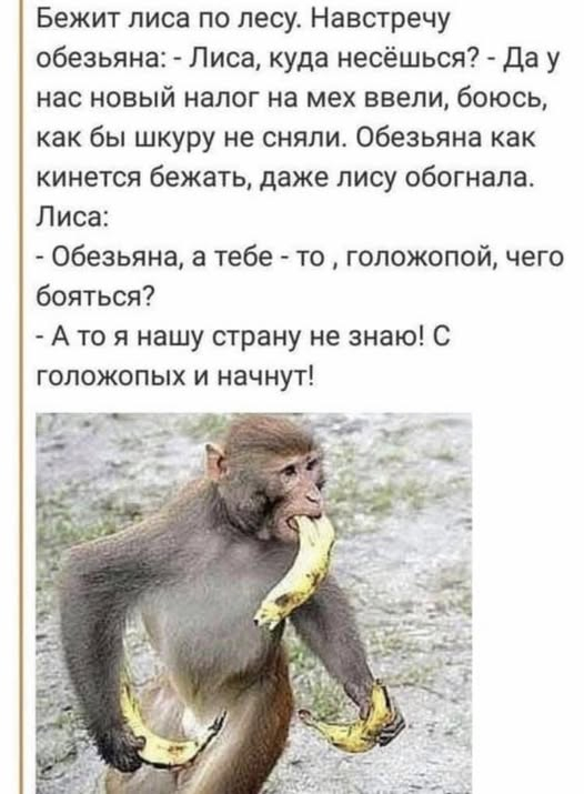 ������� �������� � ����� �� ���� (26 ����)