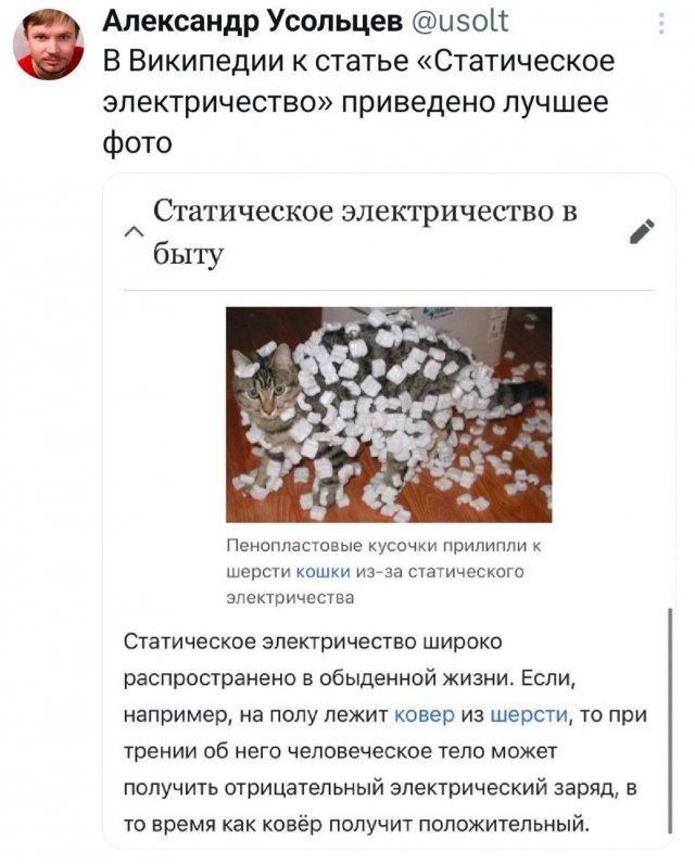 ���� �� �������� (16 ����)