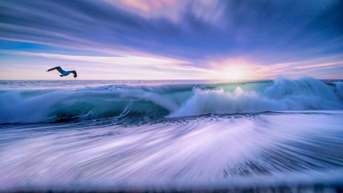 ���������! ������� �������� ��� ���������� (30 ����)