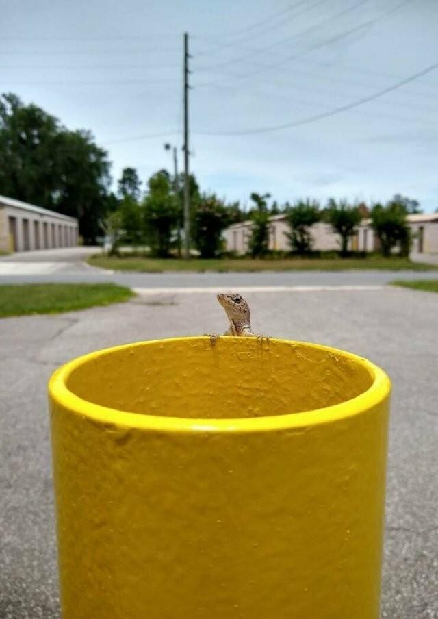 ���������! ������� �������� ��� ���������� (30 ����)