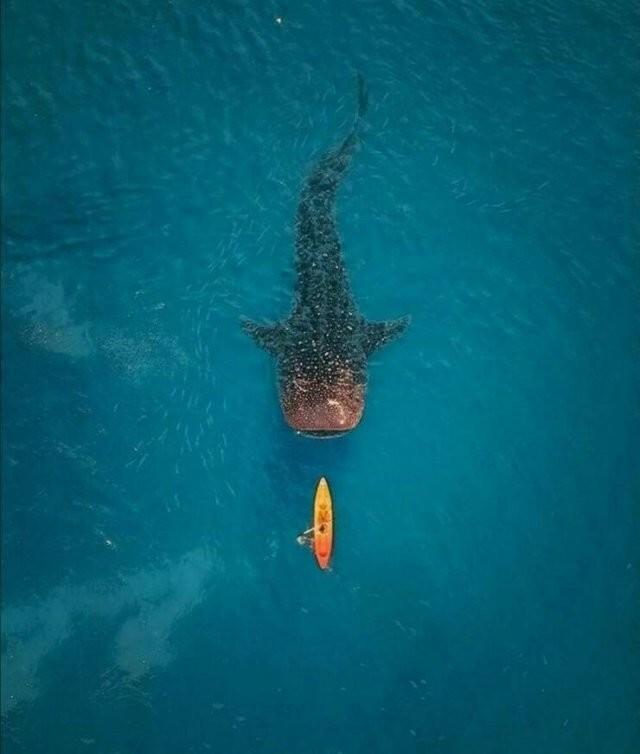 ���������! ������� �������� ��� ���������� (30 ����)