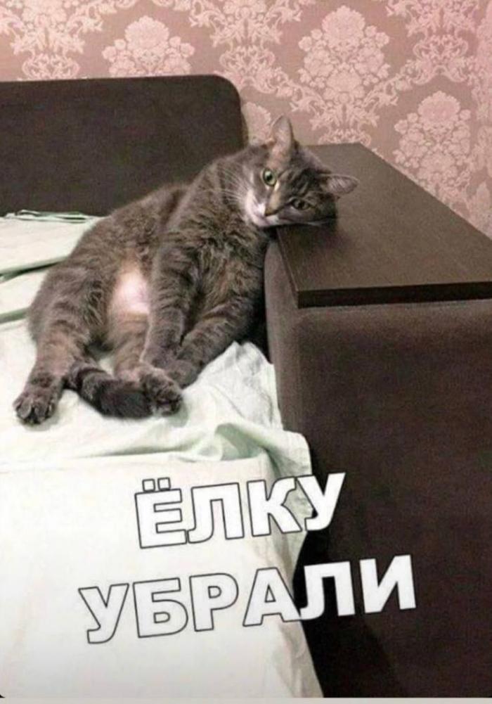 ���������! ������� �������� ��� ���������� (30 ����)