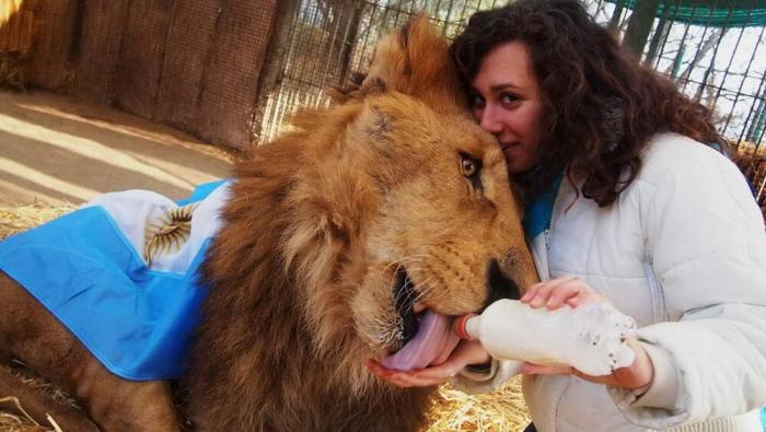 ���������! ������� �������� ��� ���������� (30 ����)