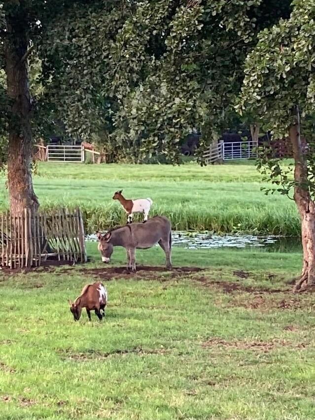 ���������! ������� �������� ��� ���������� (30 ����)