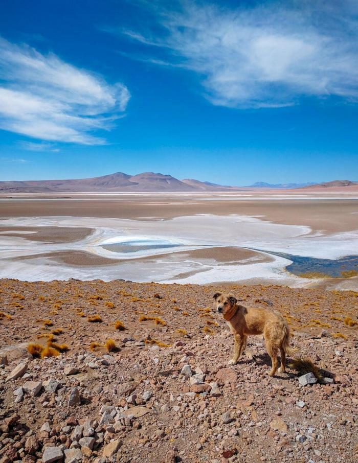 ���������! ������� �������� ��� ���������� (30 ����)