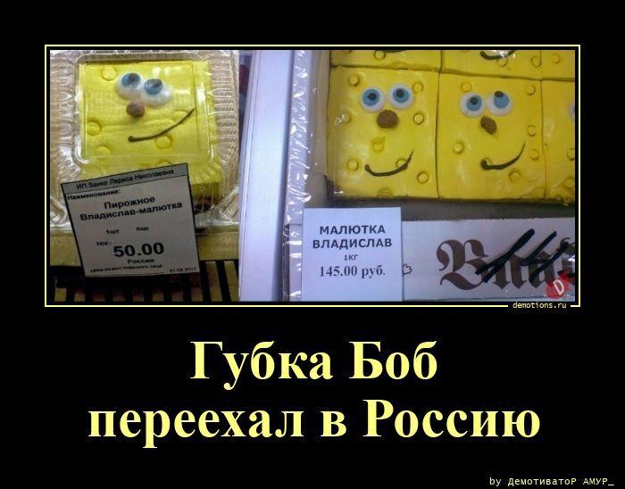 ������������ ������������ (15 ����)