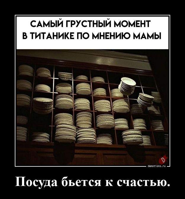 ������������ ������������ (15 ����)