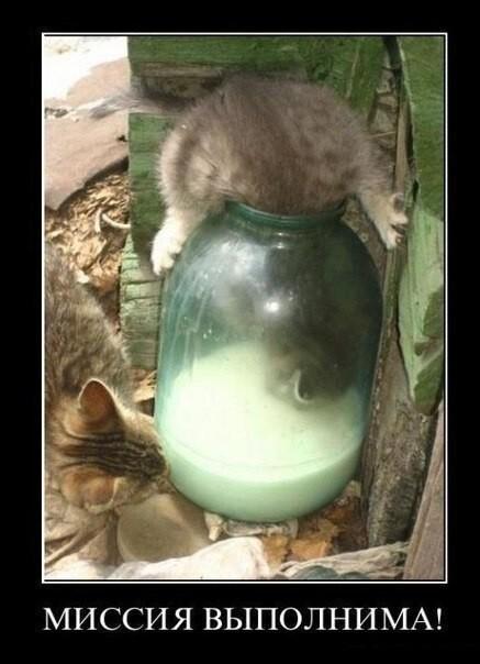 ������������ ������������ (15 ����)