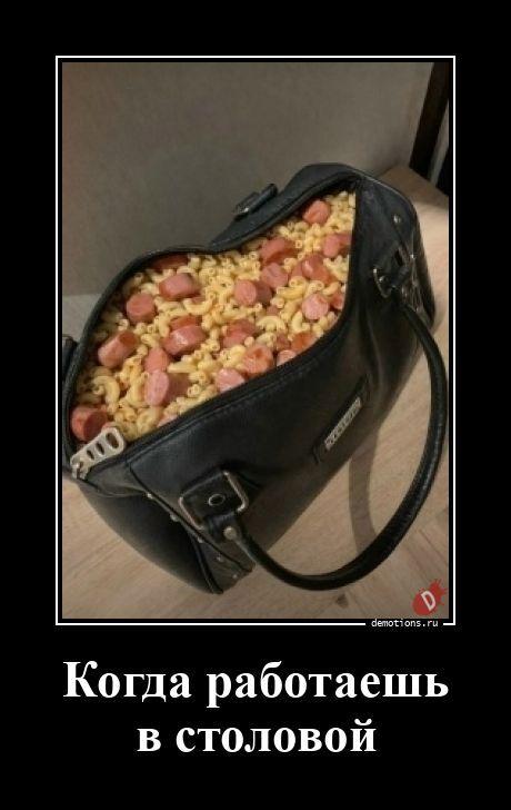 ������������ ������������ (15 ����)