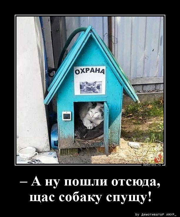 ������������ ������������ (15 ����)