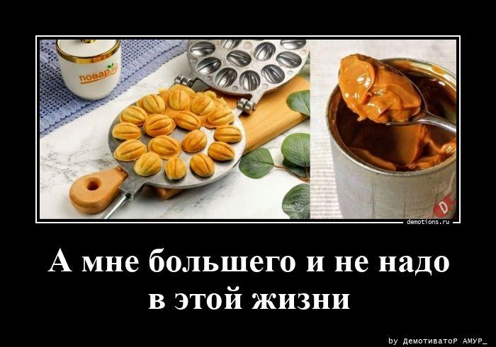 ������������ ������������ (15 ����)