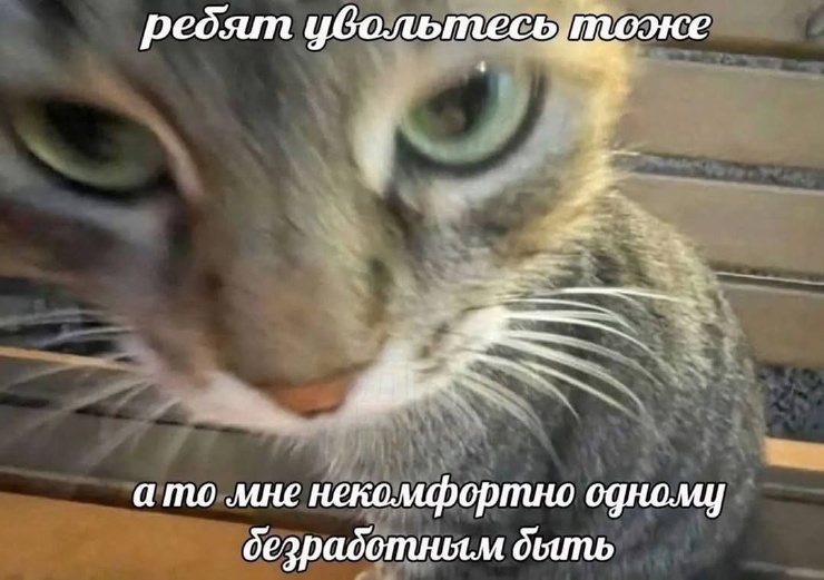 ���� � ������� �� ���� (32 ����)