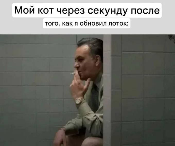 ���� � ������� �� ���� (32 ����)