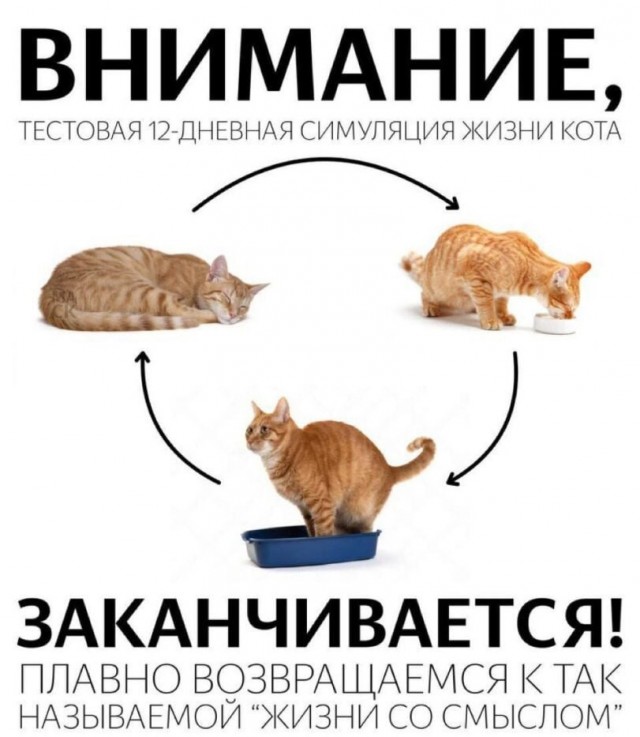 �������� �������� ��� ��������� ���������� (45 ����)