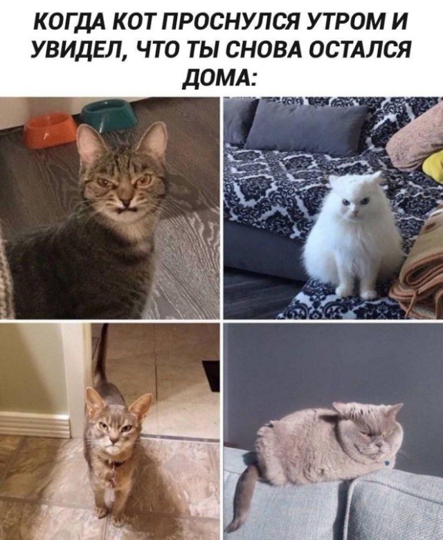 �������� �������� ��� ��������� ���������� (45 ����)