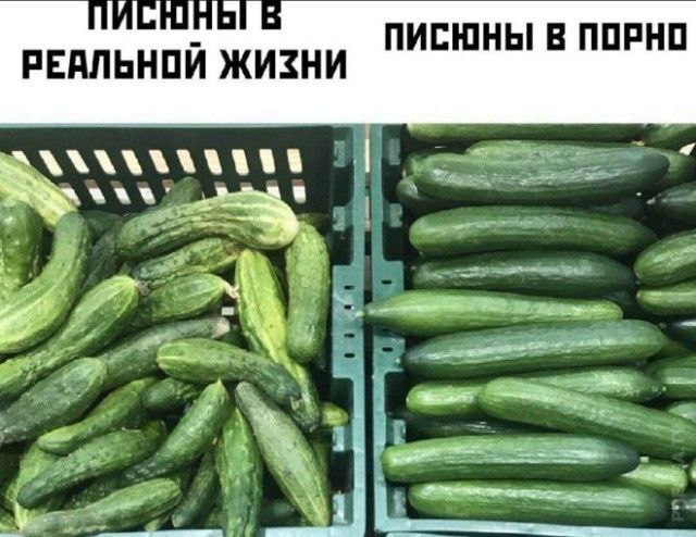 �������� ����� � �������� �� ���� (23 ����)