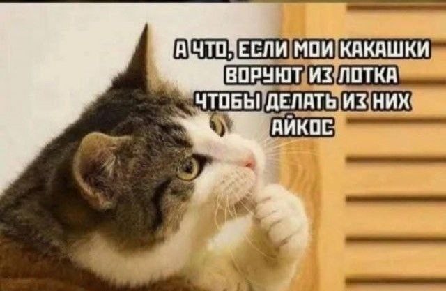 ������ ���� � ������� ��� ��������� ���������� (36 ����)