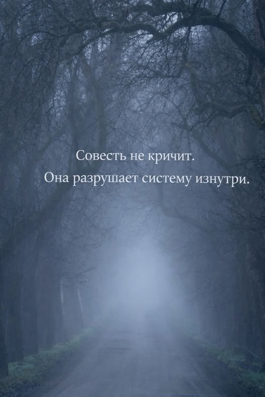 ������ ���� � ������� ��� ��������� ���������� (36 ����)