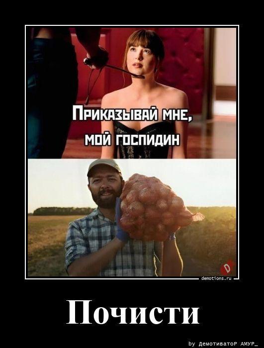 ������������ ������������ (16 ����)