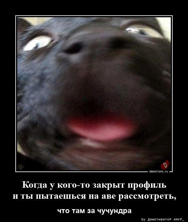 ������������ ������������ (16 ����)