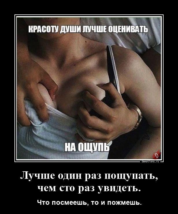 ������������ ������������ (16 ����)